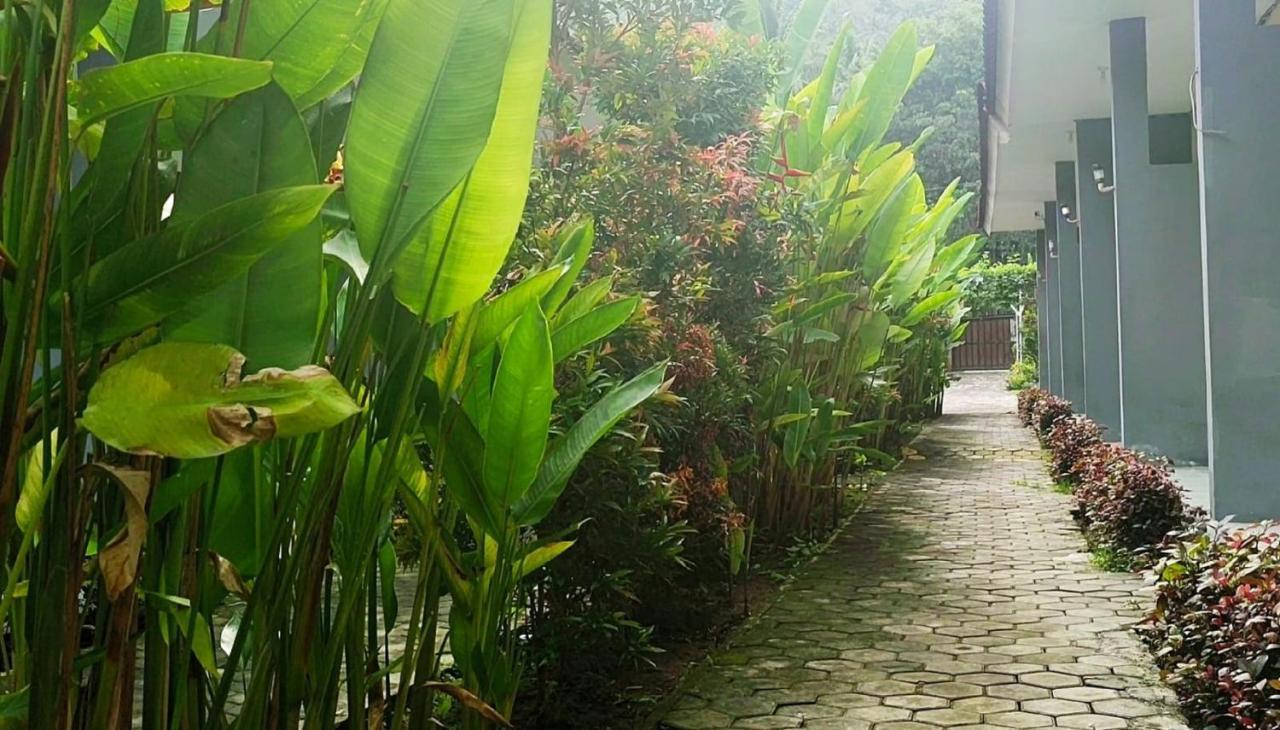 Oyo 2864 Mangsit Garden Homestay Zewnętrze zdjęcie